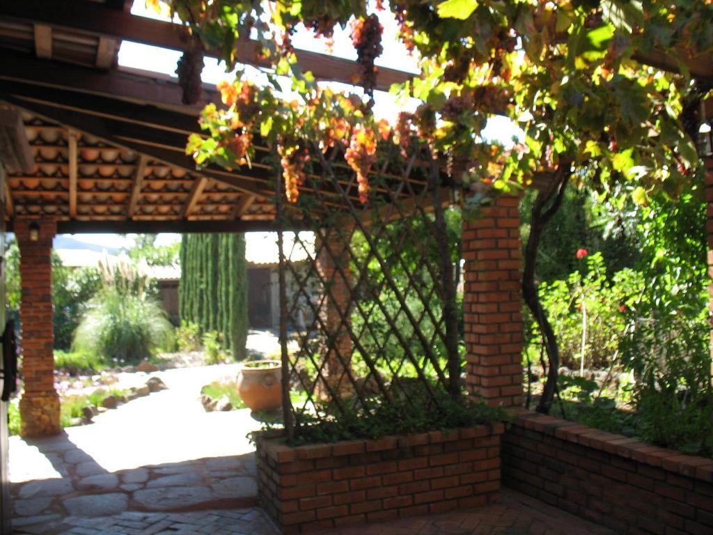 Quinta Maria En La Ruta Del Vino
