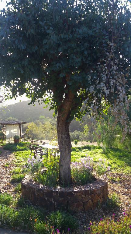 Quinta Maria En La Ruta Del Vino Bed & Breakfast Valle de Guadalupe