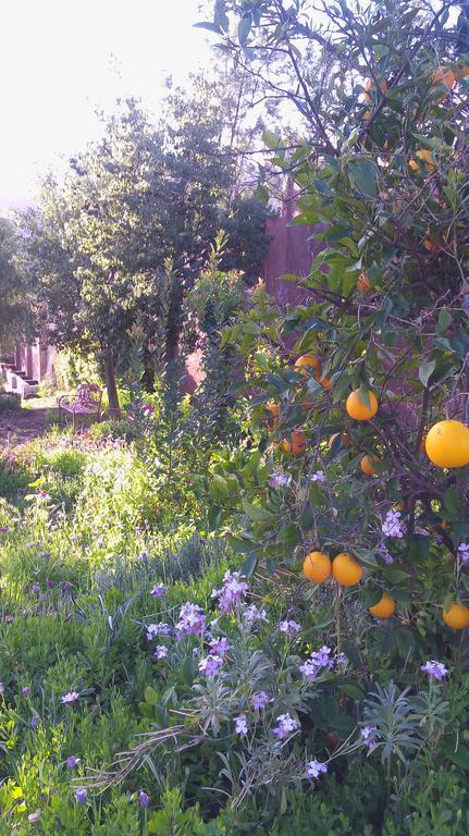 Quinta Maria En La Ruta Del Vino Bed & Breakfast